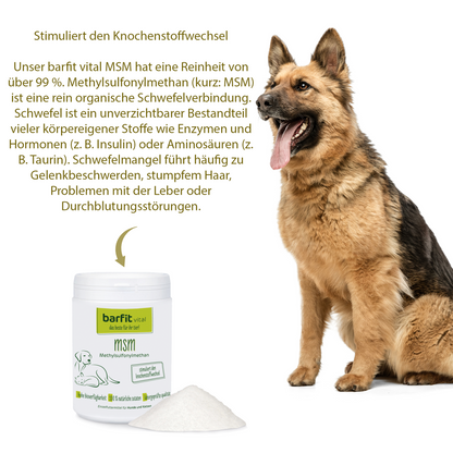 MSM – Methylsulfonylmethane (500g, for dogs and cats)